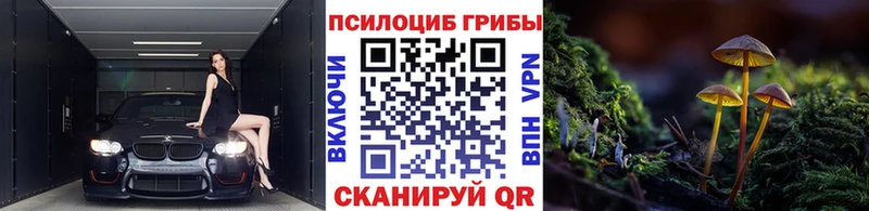 shop наркотические препараты  Саров  Галлюциногенные грибы мицелий 